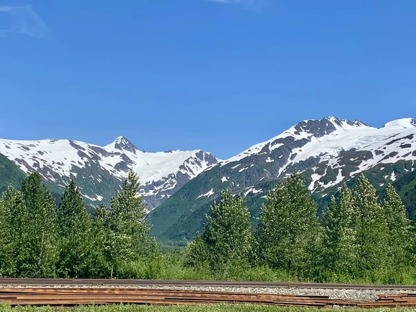 Alaska'daki Portage buzulunun çarpıcı manzarası 