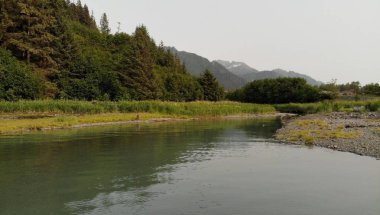 Alaska sahilin güzel manzarası 