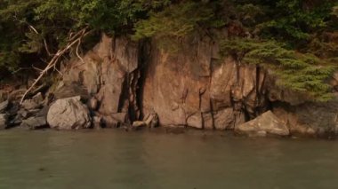 Yaz aylarında Engebeli Alaska sahil şeridi 