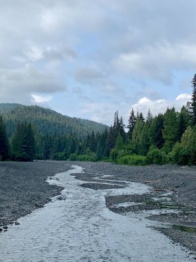 Alaska 'da yaz manzarası 