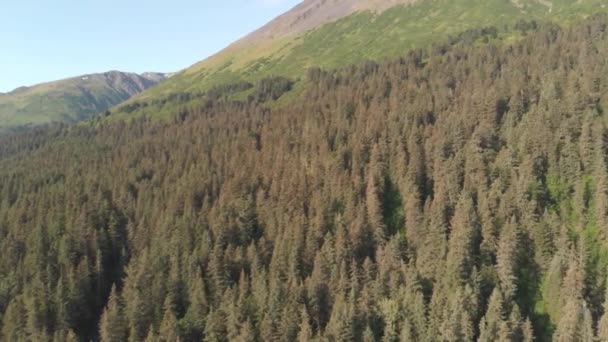 Vistas Panorámicas Desde Última Frontera — Vídeo de stock