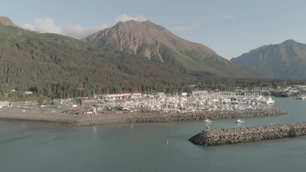 Scenic Visninger Fra Den Sidste Grænse – Stock-video