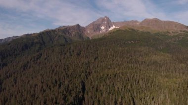 Alaska'dan vahşi doğa manzaraları 