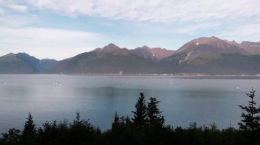 Alaska'dan vahşi doğa manzaraları 