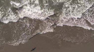 Alaska okyanusundaki dalgalar