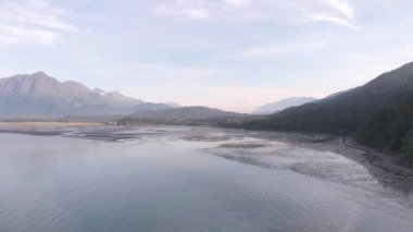 Alaska'dan vahşi doğa manzaraları 