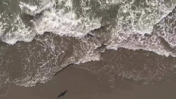 Alaska okyanusundaki dalgalar