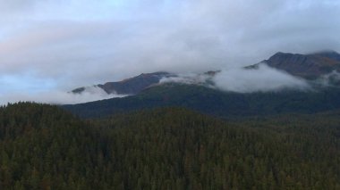 Alaska'dan güzel vahşi doğa ve okyanus manzarası 