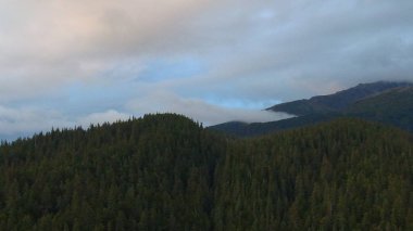 Alaska'dan güzel vahşi doğa ve okyanus manzarası 