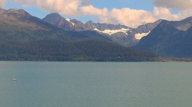 Alaska'dan güzel vahşi doğa ve okyanus manzarası 