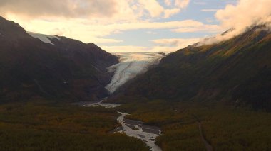 Alaska'dan güzel vahşi doğa ve okyanus manzarası 
