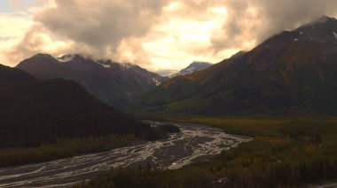 Alaska'dan güzel vahşi doğa ve okyanus manzarası 