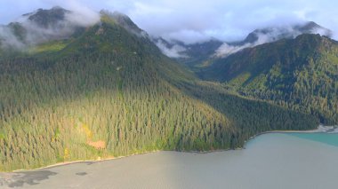 Alaska'dan güzel vahşi doğa ve okyanus manzarası 