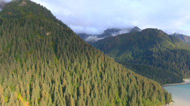 Alaska'dan güzel vahşi doğa ve okyanus manzarası 