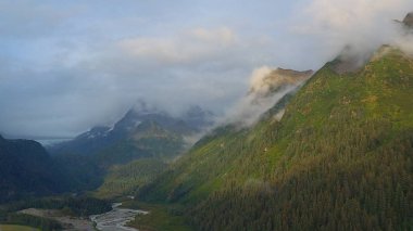 Alaska'dan güzel vahşi doğa ve okyanus manzarası 