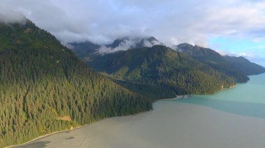 Alaska'dan güzel vahşi doğa ve okyanus manzarası 