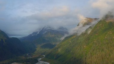 Alaska'dan güzel vahşi doğa ve okyanus manzarası 