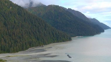 Alaska'dan güzel vahşi doğa ve okyanus manzarası 