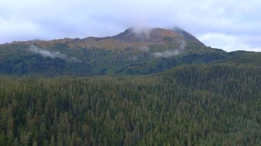 Alaska'dan güzel vahşi doğa ve okyanus manzarası 