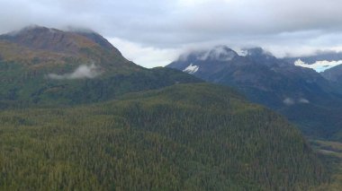 Alaska'dan güzel vahşi doğa ve okyanus manzarası 