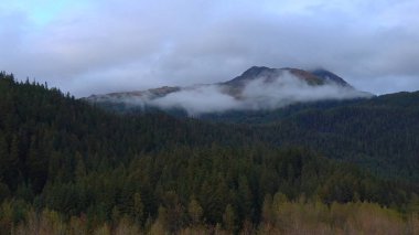 Alaska'dan güzel vahşi doğa ve okyanus manzarası 