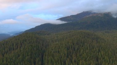 Alaska'dan güzel vahşi doğa ve okyanus manzarası 