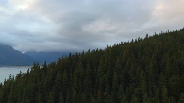 Alaska'dan güzel vahşi doğa ve okyanus manzarası 