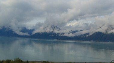 Alaska'dan güzel vahşi doğa ve okyanus manzarası 