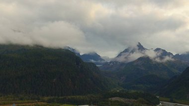 Alaska'dan güzel vahşi doğa ve okyanus manzarası 