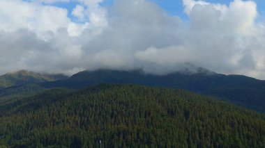 Alaska'dan inanılmaz doğal manzara 