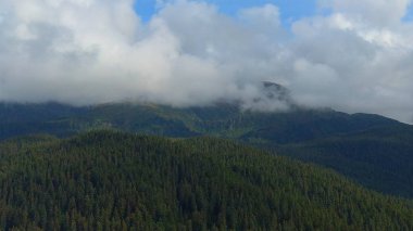 Alaska'dan inanılmaz doğal manzara 