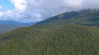 Alaska'dan inanılmaz doğal manzara 