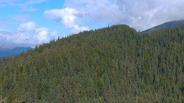 Alaska'dan inanılmaz doğal manzara 