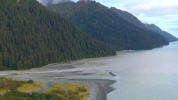 Alaska'dan güzel vahşi doğa ve okyanus manzarası 