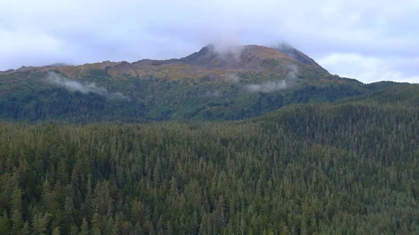 Alaska'dan güzel vahşi doğa ve okyanus manzarası 