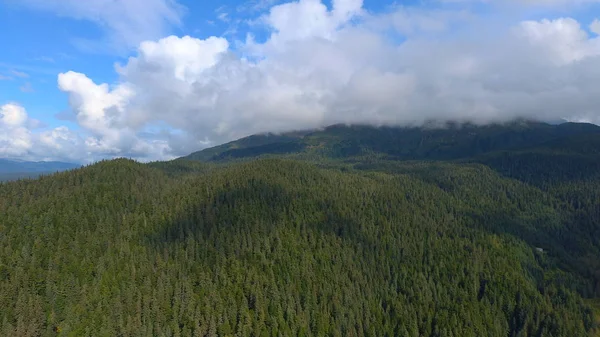 Incredibile Scenario Naturale Dall Alaska — Foto Stock