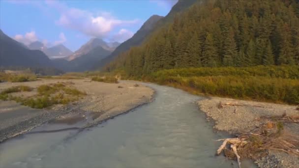 Bergstoppar Och Glaciärer Alaska — Stockvideo