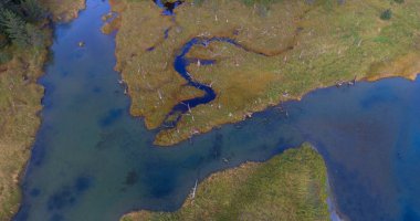 Alaska'da sulak alan havadan görünümü 