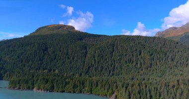 Alaska'dan dağ manzarası 