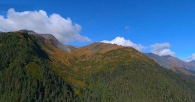 Alaska'dan dağ manzarası 