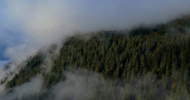 Alaska'dan inanılmaz sonbahar manzarası 