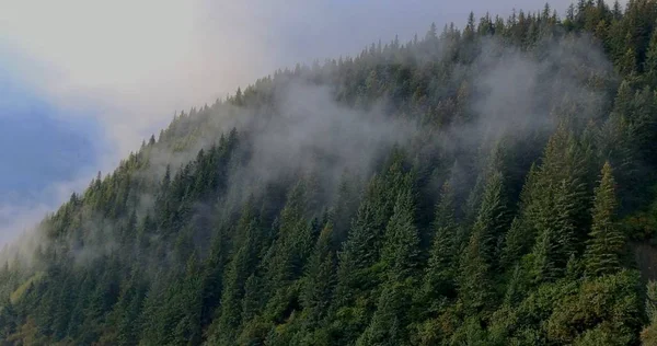 Alaska'dan inanılmaz sonbahar manzarası 