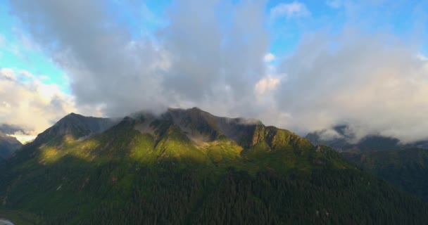 Industria Marittima Navi Crociera Pescherecci Paesaggi Naturali Seward Alaska — Video Stock