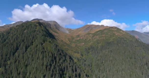 Incredibile Vista Autunnale Dalle Montagne Chugach Seward Alaska — Video Stock