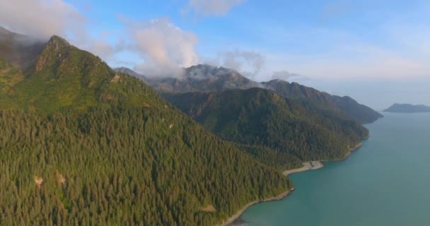 Geweldig Uitzicht Waterval Van Chugach Mountains Seward Alaska — Stockvideo