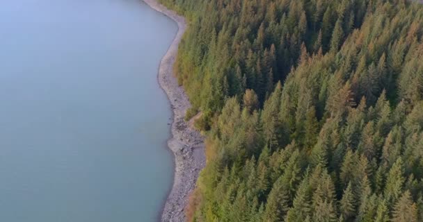 Geweldig Uitzicht Waterval Van Chugach Mountains Seward Alaska — Stockvideo