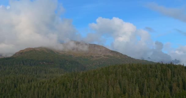 Increíbles Vistas Otoño Desde Las Montañas Chugach Seward Alaska — Vídeo de stock