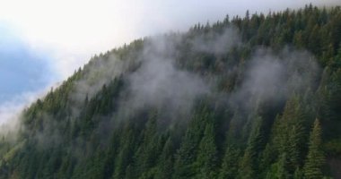 Chugach dağları ve Seward, Alaska inanılmaz sonbahar manzarası