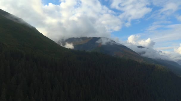 Geweldig Uitzicht Waterval Van Chugach Mountains Seward Alaska — Stockvideo