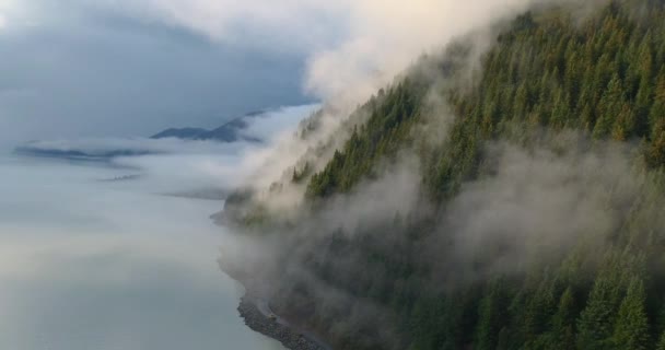 Atemberaubende Herbstaussichten Von Den Chugach Mountains Und Seward Alaska — Stockvideo